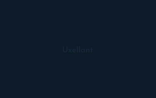 Delivering Excellence: Uxellant’s Commitment to Quality and Service